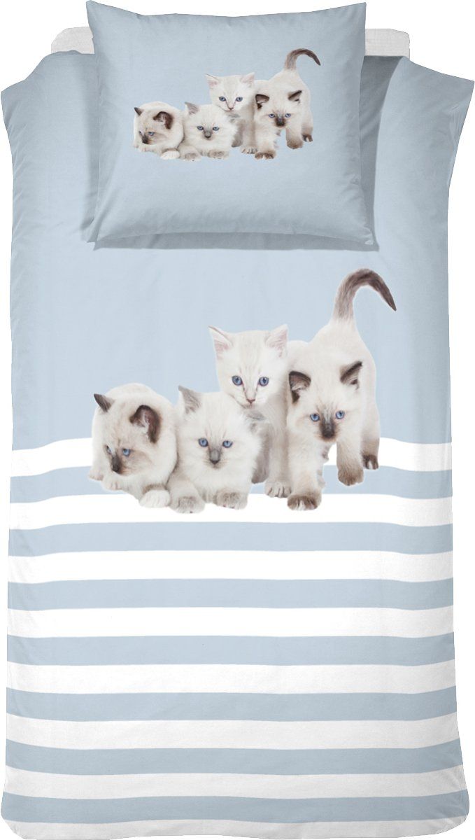 Cinderella Cute Kittens Kinderdekbedovertrek - 140x200 cm - Eenpersoons - Blauw
