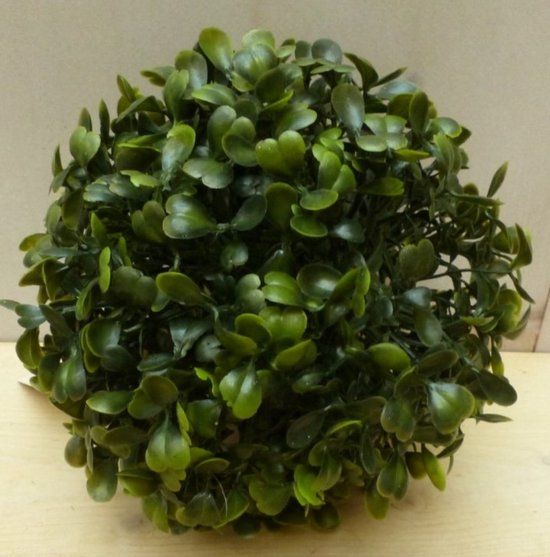Warentuin Mix Kunst buxusbol 15 cm
