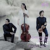 PIAS Nederland La Dolce Volta Chausson Ravel Piano Trios (CD)