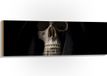 Merkloos / Sans marque Hout - Doodskop met Zwart Laken - 120x40 cm - Foto op Hout