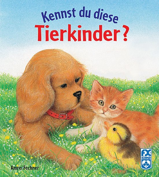 Tiptoi Ravensburger tiptoi® boek Mijn Leerspelavontuur: Logisch Denken