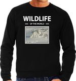 Bellatio Decorations Wildlife of the World Sneeuwvos foto sweater zwart heren XL