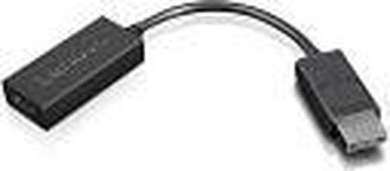 Lenovo 4X90R61023 Videoadapter DisplayPort naar HDMI 2.0b 0,225 m Zwart
