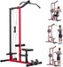 Latios Lat Pulldown Station - Station de musculation 2-en-1 - Capacité de charge 227 kg - Noir