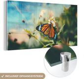 MuchoWow® Glass Painting 40x20 cm - Acrylic Glass Painting - Butterfly - Flowers - Garden - Photo on Glass - Paintings