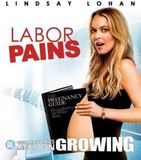 Dutch Film Works Labor Pains (Blu-ray)