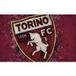 Torino Fc Papier Peint Panoramique Foot / Football - 390 cm x 244 cm