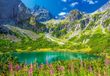 Castorland Puzzel Zelene Pleso Tatras Slowakije - 1000 stukjes Legpuzzel