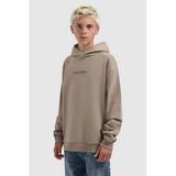 Ballin hoodie met backprint - taupe