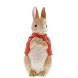 Beatrix Potter Spaarpot Flopsy