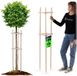 KADAX Boomsteun 150 cm van stevig hout