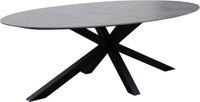 AVH-Collectie Puccini dining tuintafel 220x120 cm ovaal keramisch blad