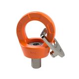 Dolezych Professionele ringschroef met oog DLR, draagvermogen 4500 kg, schroefdraad M30 x 45 mm