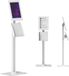 Maclean MC-924 W - support tablette avec verrouillage, 12,4"-13", blanc