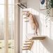 Meubles pour chats fixation murale - Set de 4 - Étagères en bois - Sisal - Nid incurvé