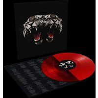 Royal Blood Dead Company LP