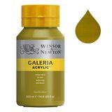 Winsor & Newton Galeria acrylverf 294 green gold (500 ml)