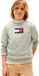 Tommy Hilfiger Script Flag Sweatshirt Vert 10 Ans Garçon