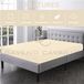 Luxe Super Zachte Plain Geverfd Deluxe Hoeslaken, Gemakkelijk Onderhoud Ademend Lichtgewicht 100% PolyBaumwolle Enkele Size Bedsheets, Crème