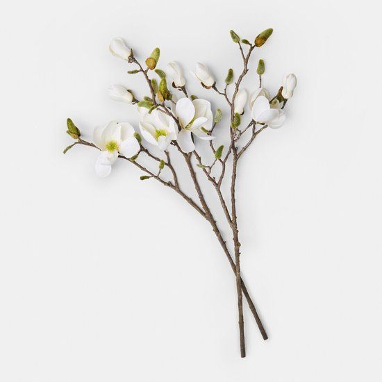 LOBERON Decoratieve bloem set van 2 Aurélines crème