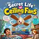 The Secret Life of Ceiling Fans: A Funny Rhyming Picture Book About Spinning Breezes, Silly Sneezes & Helping Others