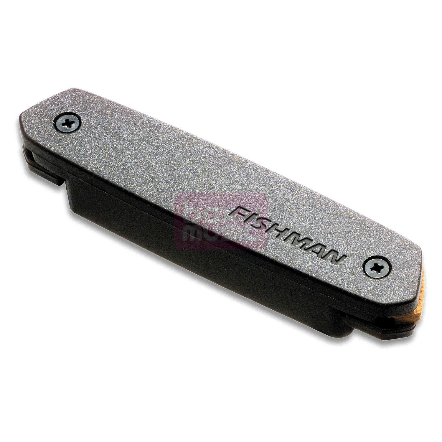 Fishman Neo D Single Coil