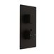 Mitigeur douche thermostatique avec inverseur - 2 fonctions - Noir - Design encastré moderne