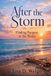 After Libri GmbH After The Storm: Finding Purpose in the Pieces