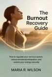The Independently Published The Burnout Recovery Guide