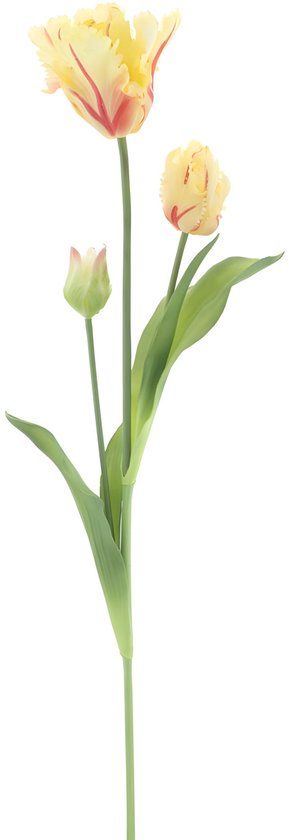 Erutan avon PSO Parrot tulip spray Sally yellow 71 cm