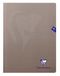 Clairefontaine 363362C Pak met 10 Geniete Schriften Grijs Mimesys