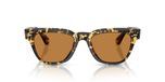 Oliver Peoples Rueny Ov 5601su Lunettes de soleil unisexe havane carrées marron 51mm