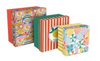 Clairefontaine - Set van 3 Vierkante Nestbare Kartonnen Opbergdozen - Dolce Amore Collectie