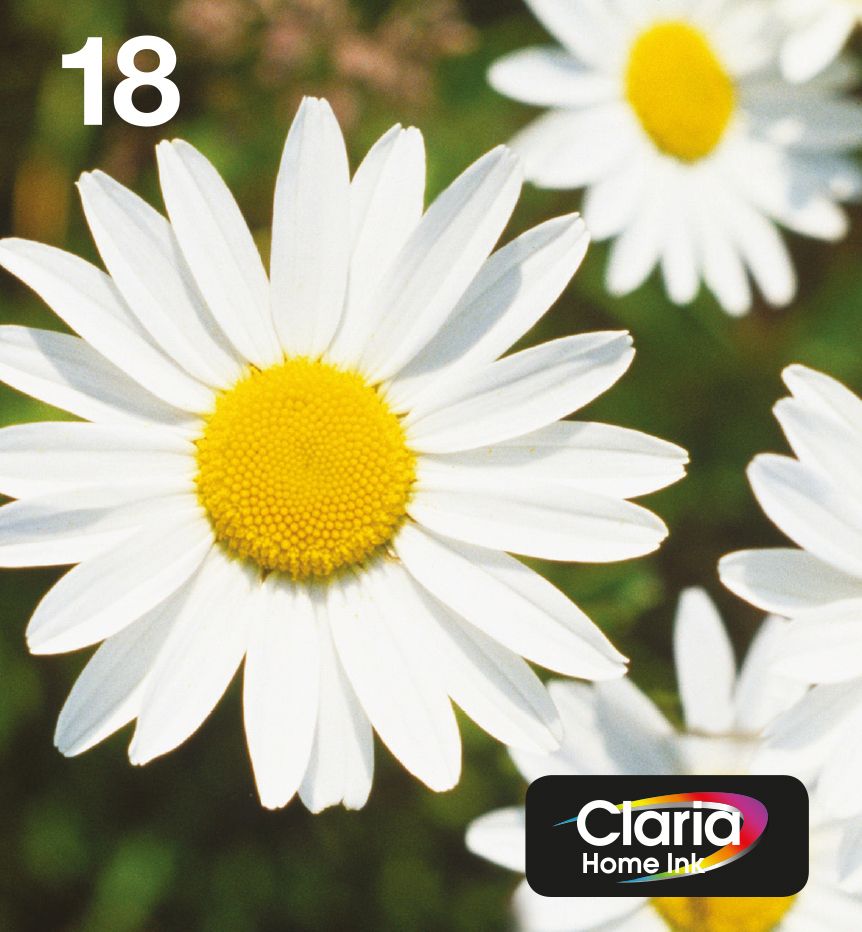 Epson 18 EasyMail Ink Cartridge Multipack - Black, Cyan, Magenta, Yellow