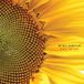 Konkurrent Windy & Carl - We Will Always Be (CD)