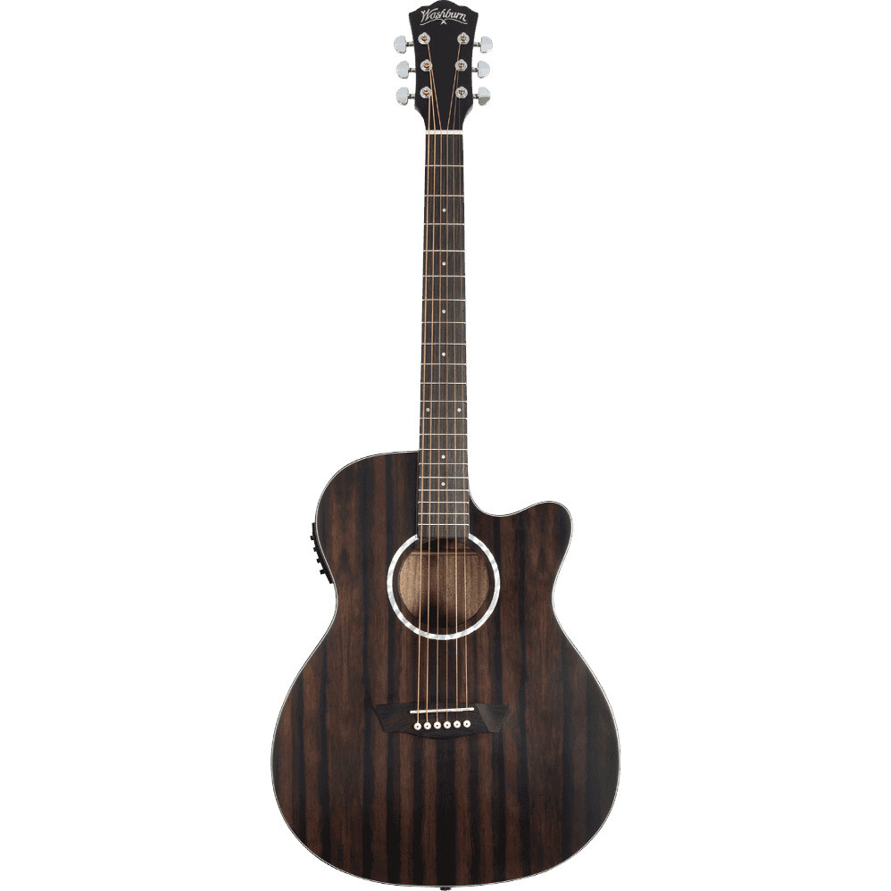 Washburn Deep Forest Ebony ACE