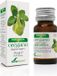 Soria Wan GmbH Origanum Majorana Sor Etherische olie 15 ml