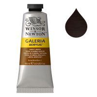 Winsor & Newton Galeria Acrylic Paint - Burnt Umber (60 ml)