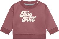 Noppies Baby Trui Maat 74 Katoen Gebreid Casual Lange Mouw Ronde Hals Drukknopen Herfst/Winter Baked Cherry