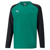 Puma Teamliga Sweater Kinderen - Groen