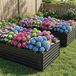 Set de 2 jardinières surélevées en métal, 219x112x64 cm, noir