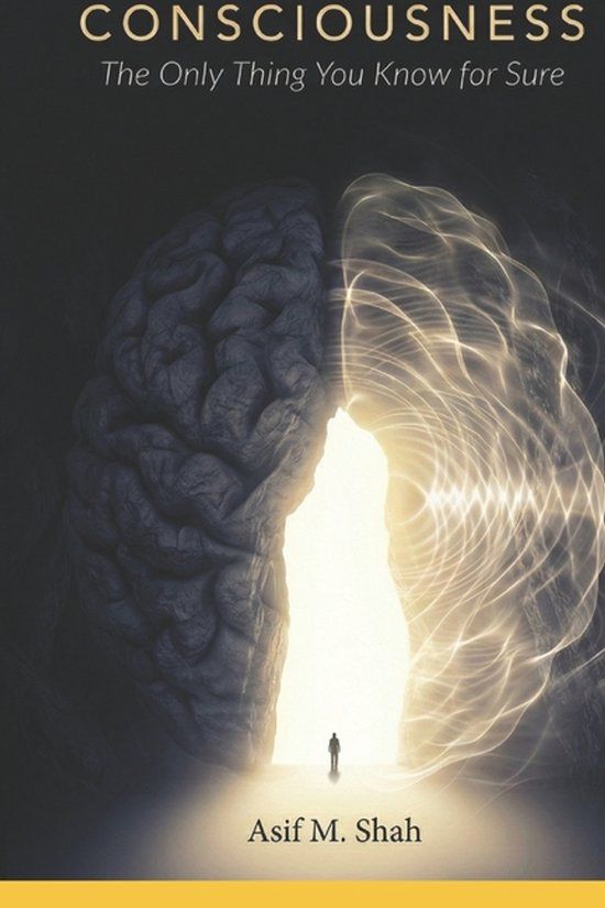 CONSCIOUSNESS: Bol Consciousness Paperback