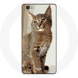 Maniacase Etui voor Huawei P8 Lite Siamese kattenrace