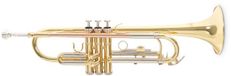 Roy Benson Bb Trompet TR-202