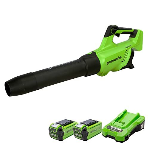 Greenworks Axial-Laubbläser 40V Akkubetrieben 210km/h Luftgeschwindigkeit, Elektronische Drehzahlregelung, inkl. 2x2Ah Akku und Ladegerät GD40ABK2x