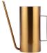 Dailygoods - Arrosoir 1,5 Litre - Acier inoxydable - Bec long - Outil d'irrigation pour plantes - Intérieur/Extérieur - Poignée ergonomique - Arrosoir