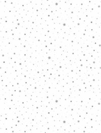 Duni Kerst tafellaken/tafelkleed - 138x220 cm - papier - wit - sterren - rechthoekig