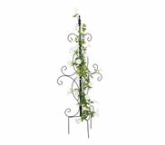 Relaxdays Plantensteun - voor klimplanten - 116 cm - zwart