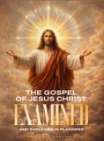 The Libri GmbH The Gospel of Jesus Christ Examined and Explained in Plainness