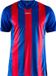 Craft Progress Stripe Shirt Korte Mouw Heren - Royal / Rood